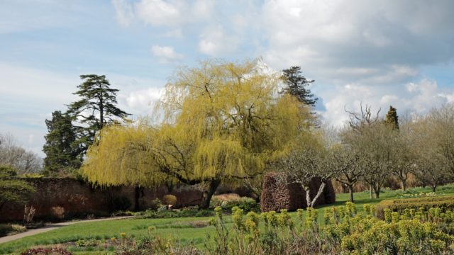英国庭園